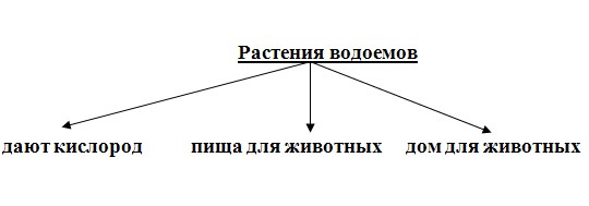 План изучения тайги окружающий мир 4 класс